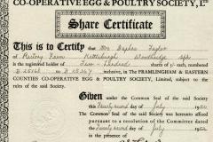 Fram-Egg-B-Taylor