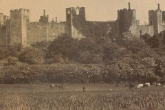 The Castle