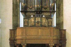 The Thamar organ