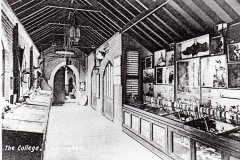 College Museum