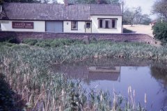 Castle pond