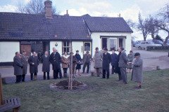 Castle pond tree planting