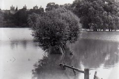 The Mere in Flood