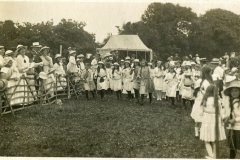 Peace day celebrations
