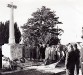 Armistice Day Service, 1950