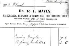 Mayes-T