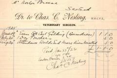 Nesling-104