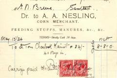 Nesling-AA