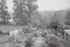 The garden opposite