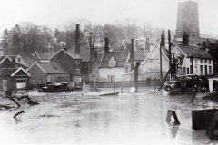 Sale Yard