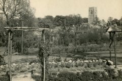 Elms garden
