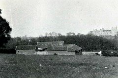Pigs Meadow