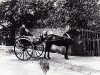 Horse And Trap, Fairfield House