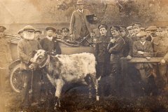Auctioneer Alfred Preston, Bridge Street Sale Yard, 1917