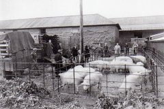Manby's Yard At The Station