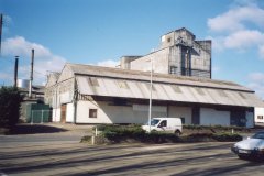 Clarke's cuber plant